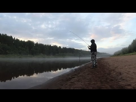 Видео: Рыбалка на Сысоле/ пробую ловить на новую снасть без наживки