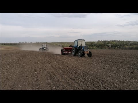 Видео: Сіємо пшеницю в дощ мтз 82 із сз 3.6мтз 892 із 2ПТС4