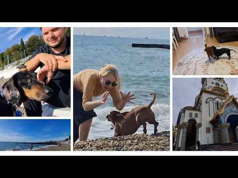 Видео: ВОСКРЕСНЫЙ ДЕНЬ СОЧИНЦЕВ/ВЕСЬ ДЕНЬ НА СОБАЧЕМ ПЛЯЖЕ/В ГОСТЯХ У РОДИТЕЛЕЙ