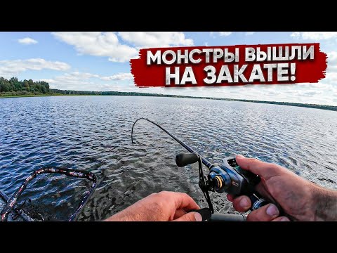 Видео: Как и на, что ПОЙМАТЬ огромного СУДАКА?! Основные ПРОБЛЕМЫ с ПВХ лодкой! Ночью СЛУЧИЛАСЬ БЕДА!