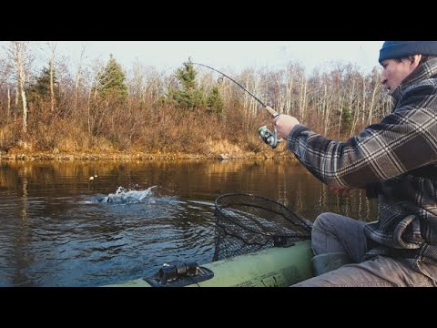 Видео: Супер рыбалка на таёжном озере.Аляска.Форель на поплавок.