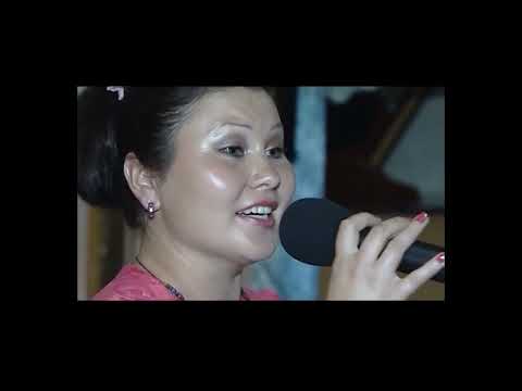 Видео: Разил Вәлиев Болгарга сәяхәт