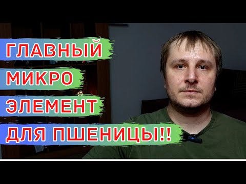 Видео: Зачем МЕДЬ Зерновым? Медь для Пшеницы, Ячменя и Овса. Роль Меди в жизни растений.