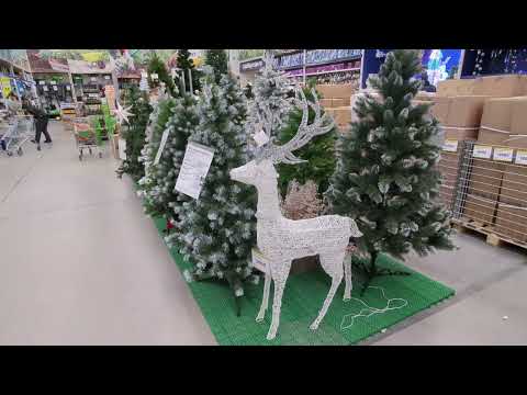 Видео: Прогулка по Лемана ПРО...цветов мало ..скоро Новый год!!!