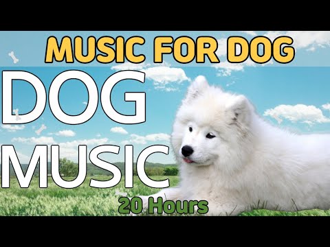 Видео: 20 часов любимой музыки собак🐶💖Музыка для сна собак 🐶🎵 Музыка для снятия беспокойства при разлуке🎵