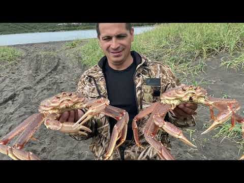 Видео: Ловля  краба на Камчатке