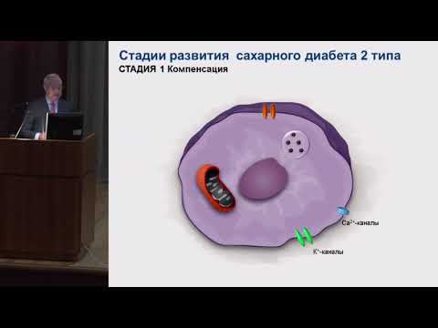 Видео: Аметов А.С., Диагностика и ведение пациентов с диабетом 2 типа в практике терапевта.