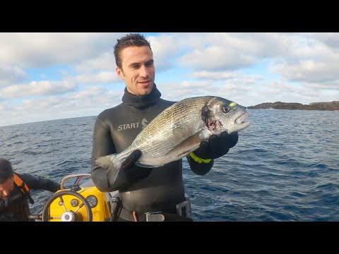 Видео: Самый УДИВИТЕЛЬНЫЙ день подводной охоты в моей жизни!!! - (Поймай и приготовь дорадо)