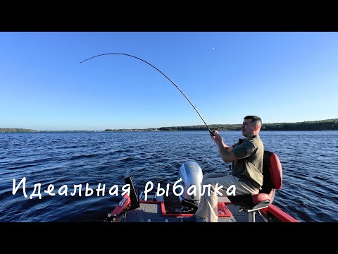 Видео: Идеальная рыбалка но без рыбы! #рыбалка