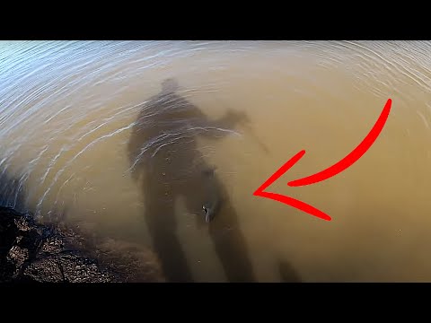 Видео: Такие поклевки ЗАПОМНЮ НАДОЛГО! Ловля весеннего СУДАКА С БЕРЕГА 2022