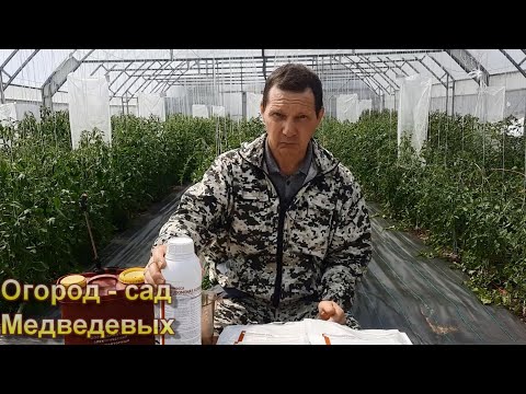 Видео: Комплексная защита томатов, перцев и баклажанов от болезней