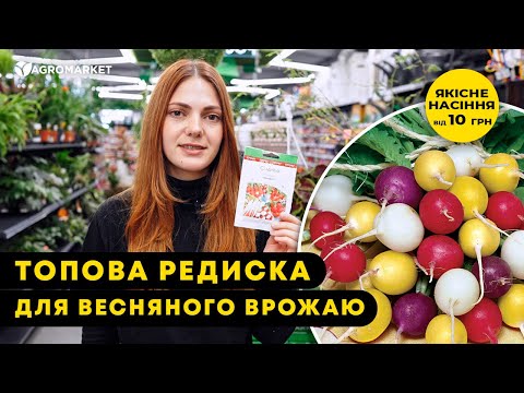Видео: 🌱 ЯКУ РЕДИСКУ СІЯТИ НАВЕСНІ | “18 днів”, “Глорієт F1”, “Конфеті” | Agro-Market.ua