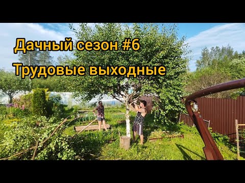 Видео: Как сдерживать рост крупномеров на дачном участке.Весенние работы на даче. Дачный сезон #6