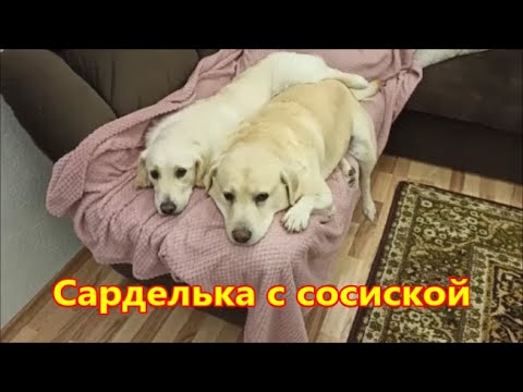 Видео: Сарделька с сосиской