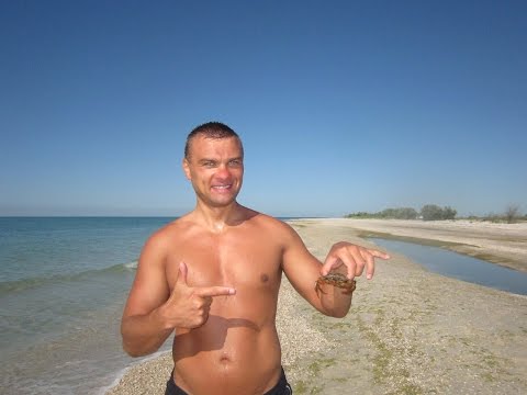 Видео: Отдых на море Лазурное и остров Джарылгач