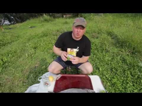 Видео: ХОЧУ ПОЖРАТЬ СЁМГУ