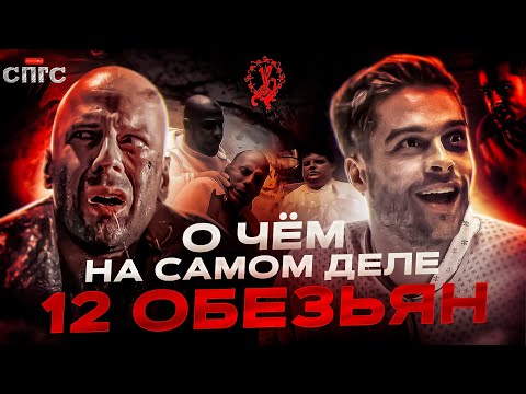 Видео: ОНИ не СОШЛИ С УМА | смысл 12 ОБЕЗЬЯН | разбор СПГС