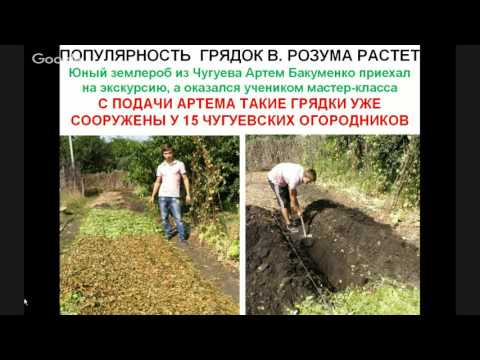 Видео: Интенсивные грядки В. Розума. Б А Бублик часть 3