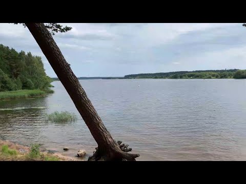 Видео: Из Конаково в Тверь | Путешествие вдоль Волги на велосипеде, классический маршрут