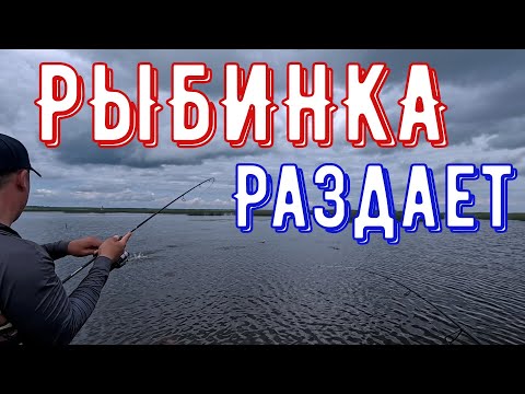 Видео: Вода бурлит от рыбы! Горбатый Окунь на каждом забросе!Рыбинское ВДХР.