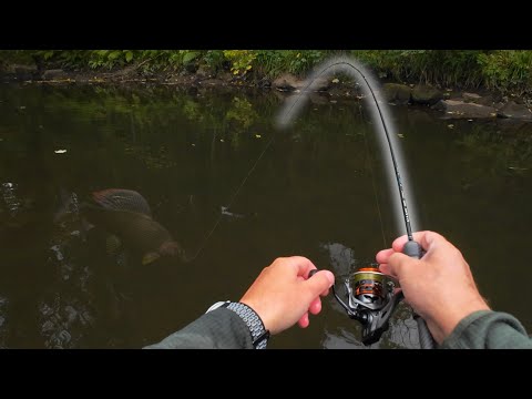 Видео: Ловля хариуса на приманку