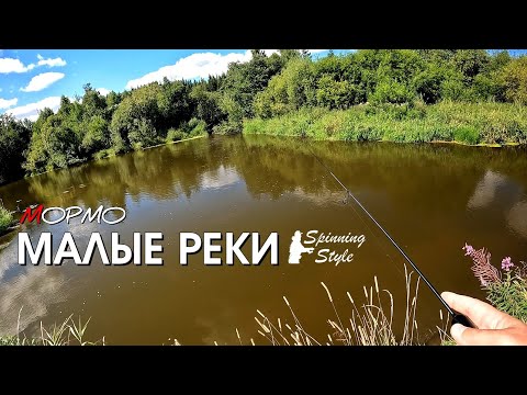 Видео: Ловля речного ельца спиннингом. МОРМЫШИНГ, НАНОДЖИГ, УЛЬТРАЛАЙТ