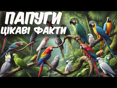 Видео: Цікаві факти про папуг. Папуги