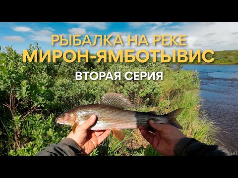 Видео: Рыбалка на реке Мирон-Ямботывис. 2 серия