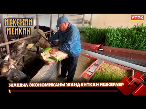 Видео: Жашыл экономиканы жанданткан ишкерлер // МЕКЕНИМ МЕЙКИН берүүсү