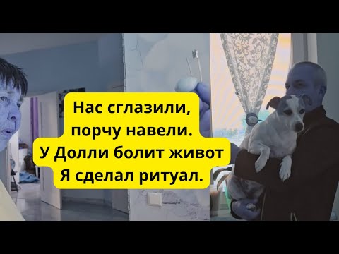 Видео: Недоброжелатели порчу навели , у Долли живот болит , я сделал ритуал с булавкой и чесноком 