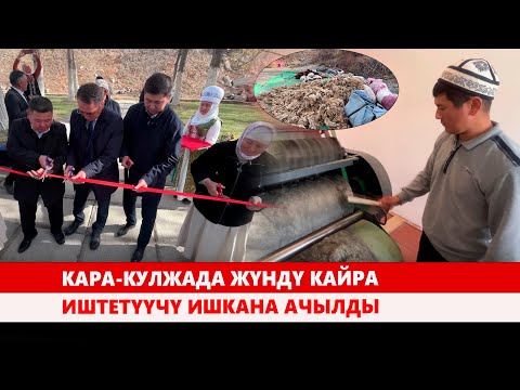 Видео: Кара-Кулжада жүндү кайра иштетүүчү ишкана ачылды