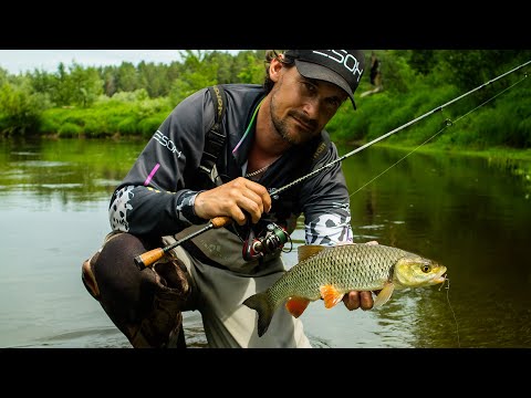 Видео: Рыбалка идет не по плану, ехал за щукой, а поймал.. Рыбалка на спиннинг в жару летом [Пора ловить]