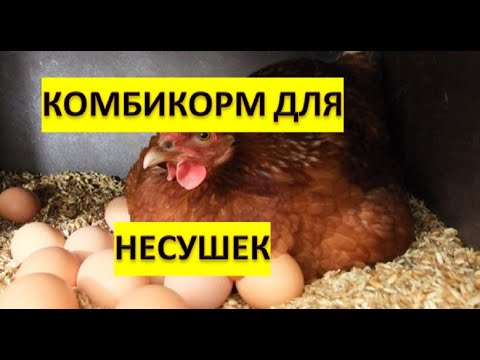 Видео: КОМБИКОРМ ДЛЯ КУРЕЙ НЕСУШЕК, СВИНЕЙ//ГРАНУЛЯТОР КОРМОВ ОГП-150 В РОБОТЕ