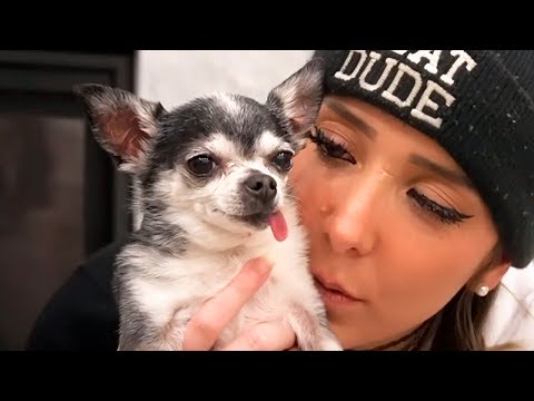 Видео: Может ли Марблс стоять на задних лапах ? - Дженна Марблс