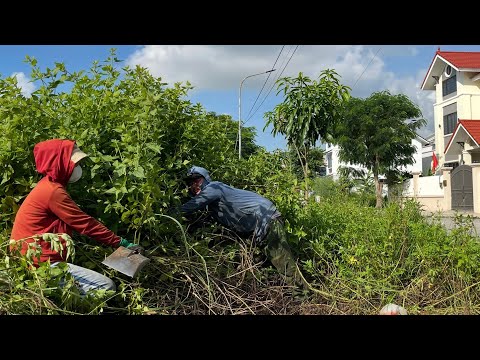Видео: Элитная улица vs. забытый тротуар | Шокирующая уборка