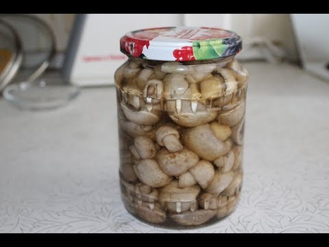 Видео: Как мариновать грибы ~ МАРИНУЕМ  полевые ШАМПИНЬОНЫ....простой рецепт