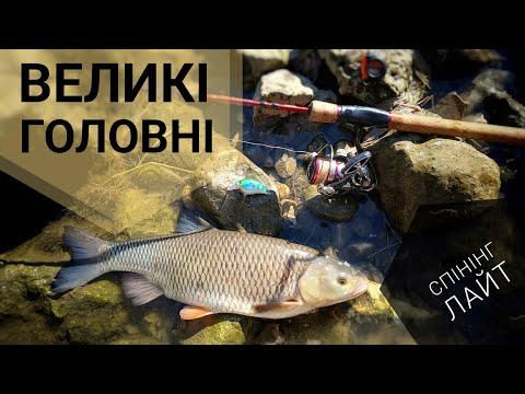 Видео: Трофейні ГОЛОВНІ на лайт. МАРЕНА на спінінг!!!!