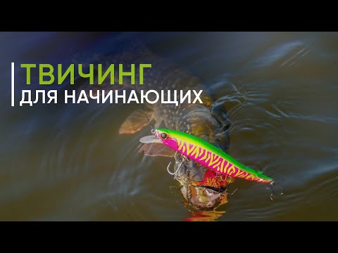 Видео: Твичинг для начинающих. Как ловить на рывковые воблеры