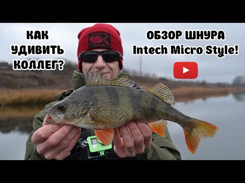 Видео: ОБЗОР ШНУРА Intech Micro Style! КАК УДИВИТЬ КОЛЛЕГ?