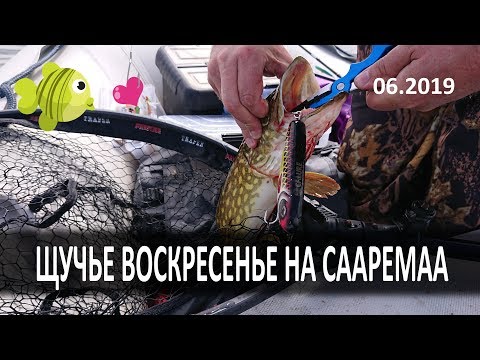 Видео: Рыбалка на Сааремаа. Июнь 2019г. Щучье Воскресенье! Saaremaa Fishing