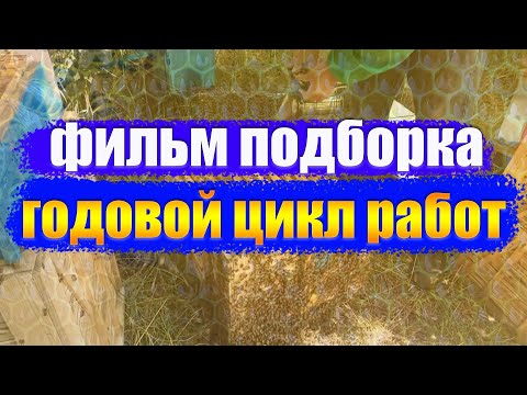 Видео: Подборка годовой цикл работ о Пчеловодстве