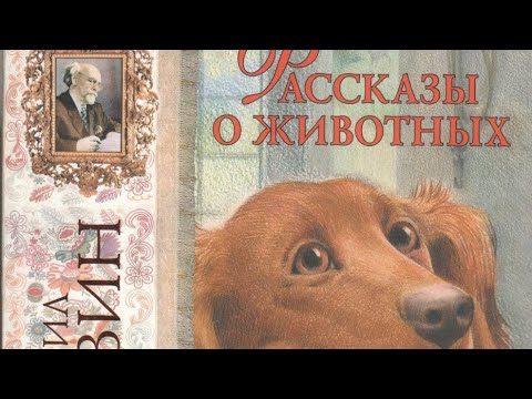 Видео: Рассказы о животных. Михаил Пришвин.