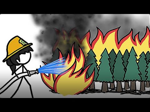 Видео: Борьба с пожарами подливает масла в огонь [Минутка Земли]