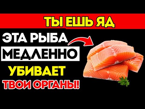 Видео: 4 Вида Рыбы, Которые ОБЯЗАТЕЛЬНО Нужно Есть — И 4, К Которым НЕЛЬЗЯ Даже Прикасаться