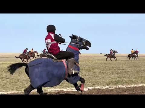 Видео: Жолболды ауылдық мешітінің ашылуы! Көкпар финал! “Сайфуллах”чемпион.