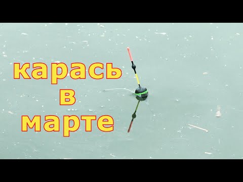 Видео: Ловля карася на поплавочную удочку в первые дни марта. Весенний карась на поплавок