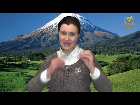 Видео: Повышение вибраций. День 8. Денежные блоки