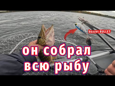 Видео: Одна приманка Собрала ВСЮ ЩУКУ! Результат рыбалки УДИВИЛ!