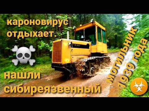 Видео: Ночные покатушки на дт 75. Наткнулись на сибиреязвенный могильник. Кароновирус отдыхает.