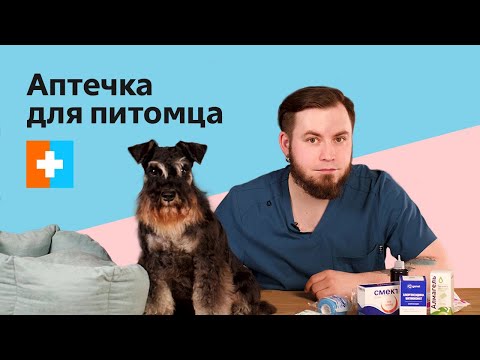 Видео: Аптечка для питомца